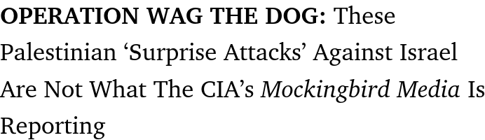 Screenshot 2025 03 25 at 11 03 16 OPERATION WAG THE DOG These Palestinian Surprise Attacks A
