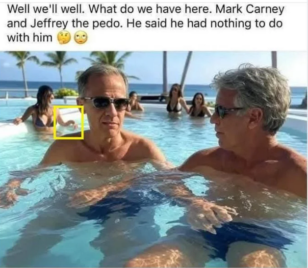 Screenshot 2025 03 25 at 18 55 01 Well lookie here Now wonder why the NWO cabal wants Mark Ca